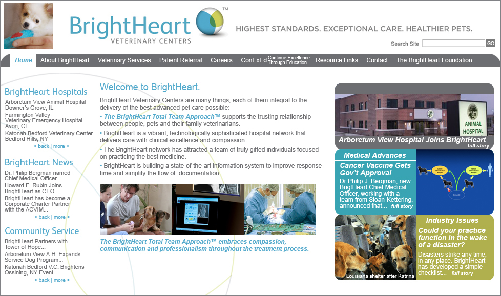BrightHeart Corporate Website