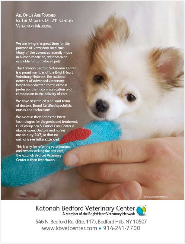 21st Century Veterinary Care