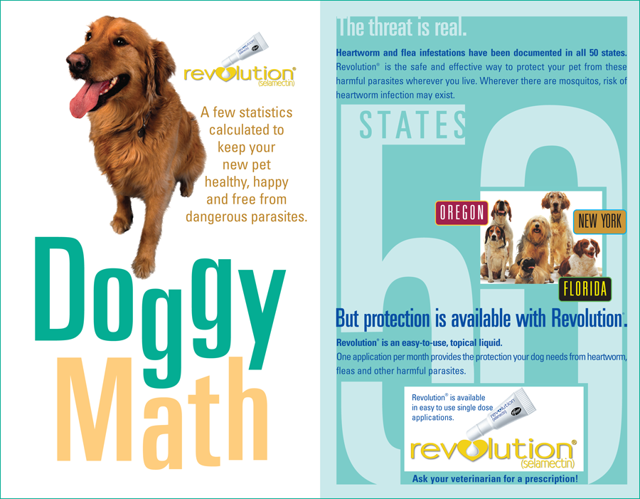 Doggy Math - Heartworm & Flea Remedy