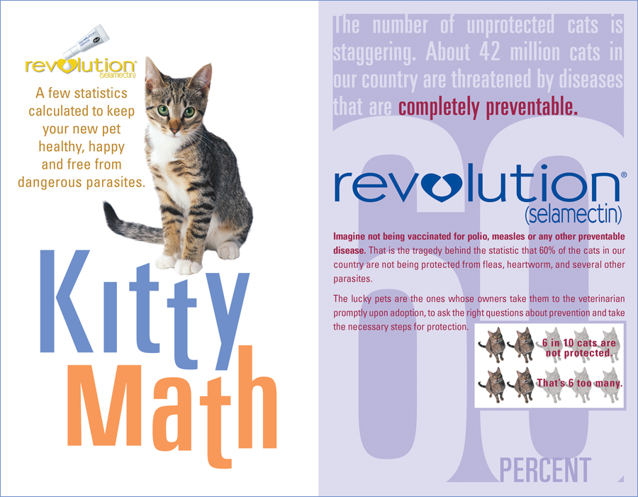 Kitty Math - Heartworm & Flea Remedy